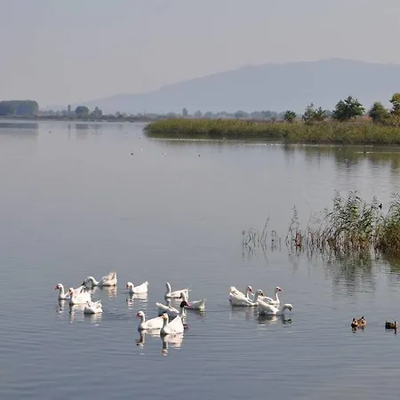 Philoxenia Appartement